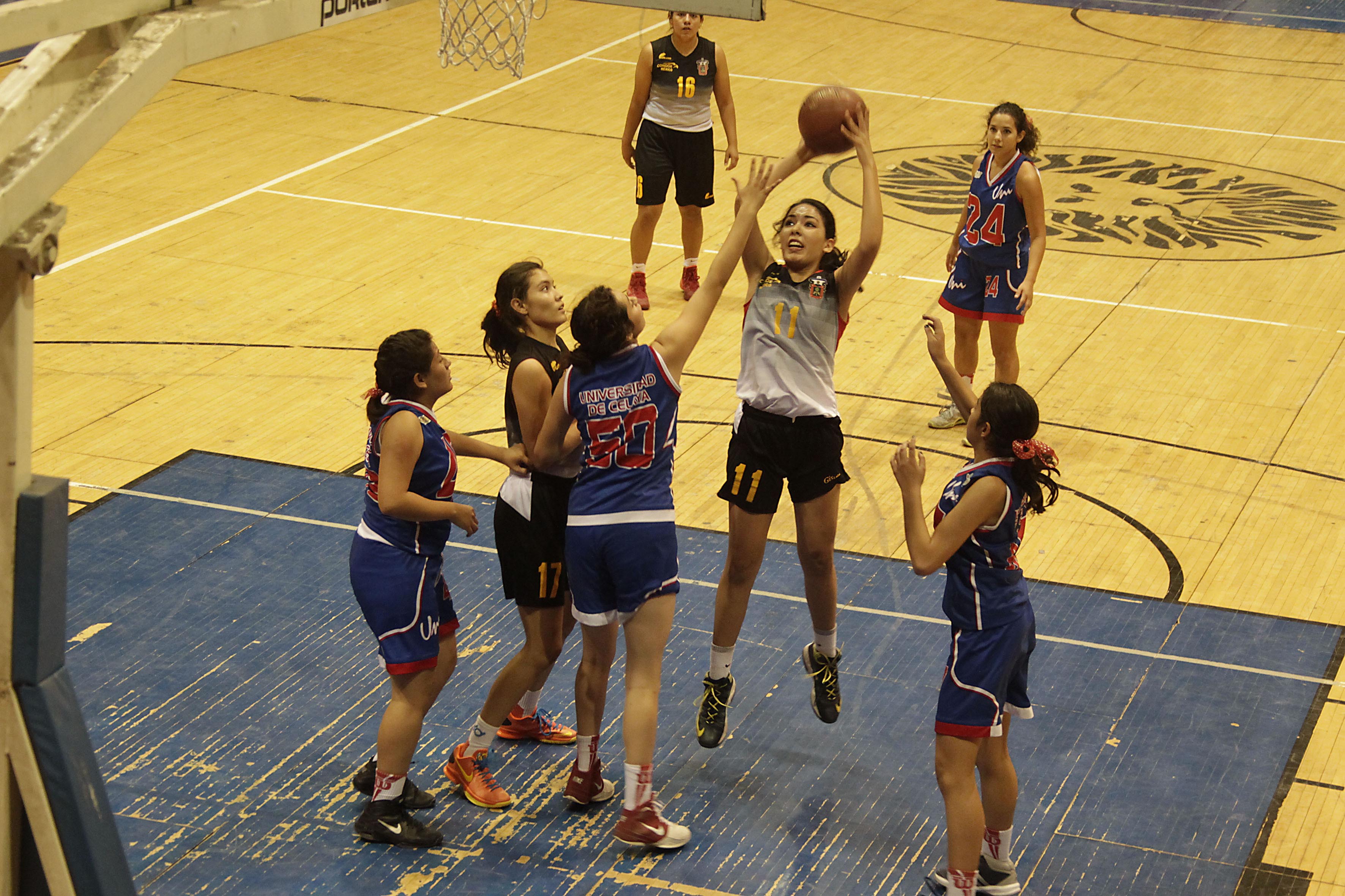 Leones Negros de basquetbol homenajean a sus ídolos y presentan