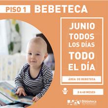 Grafico de la Bebeteca