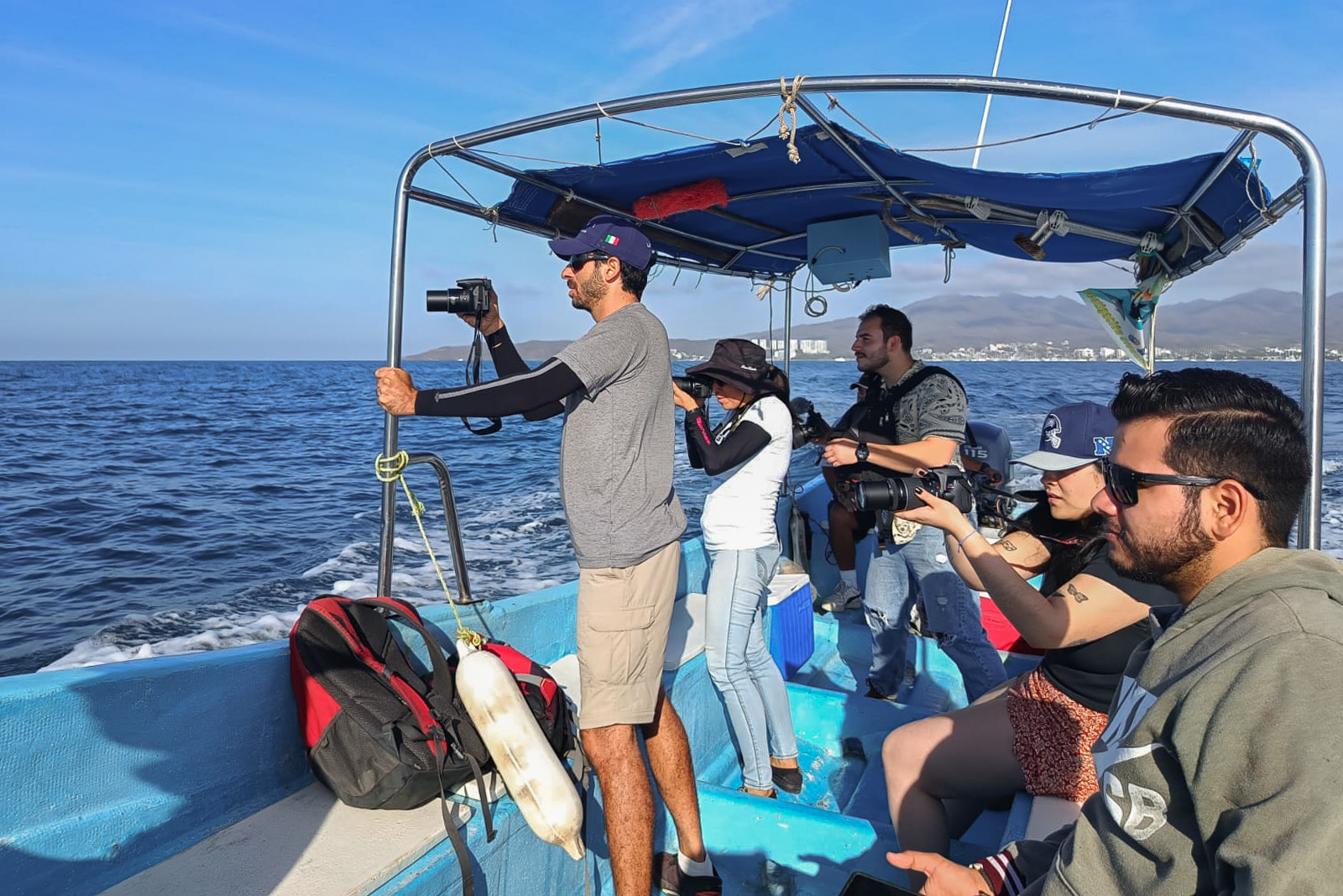 Buscan garantizar protección de la ballena en Bahía de Banderas, ante las 200 embarcaciones turísticas que llegan