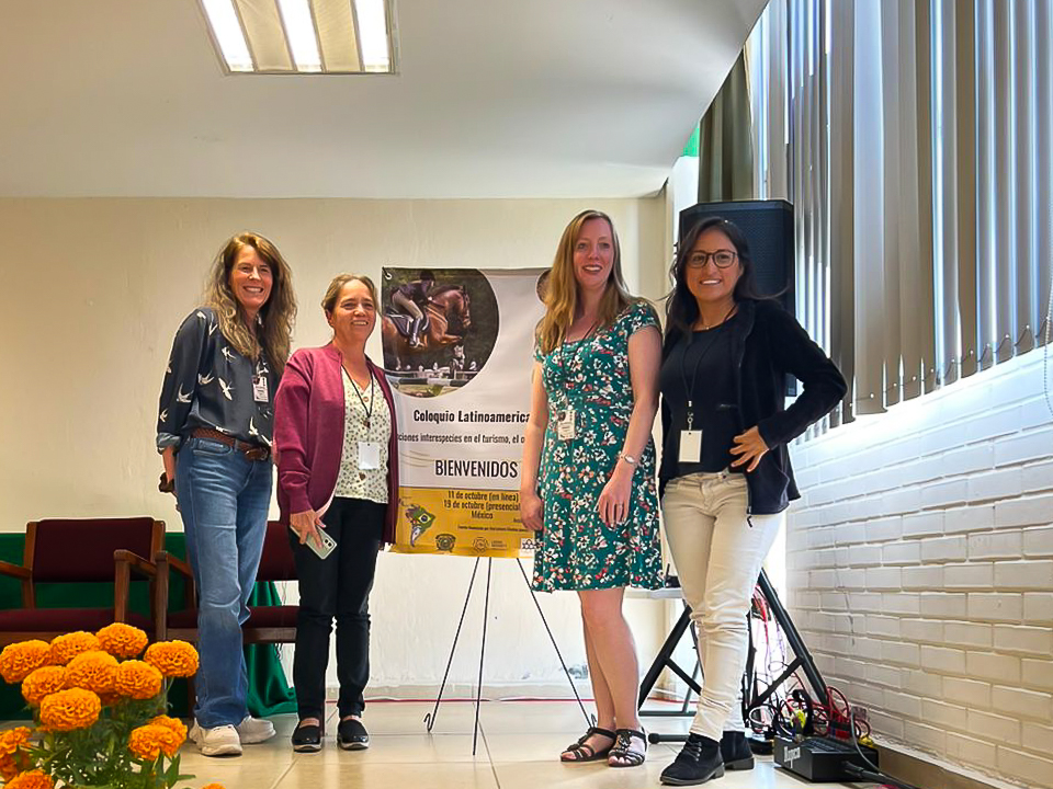 Buscan garantizar protección de la ballena en Bahía de Banderas, ante las 200 embarcaciones turísticas que llegan