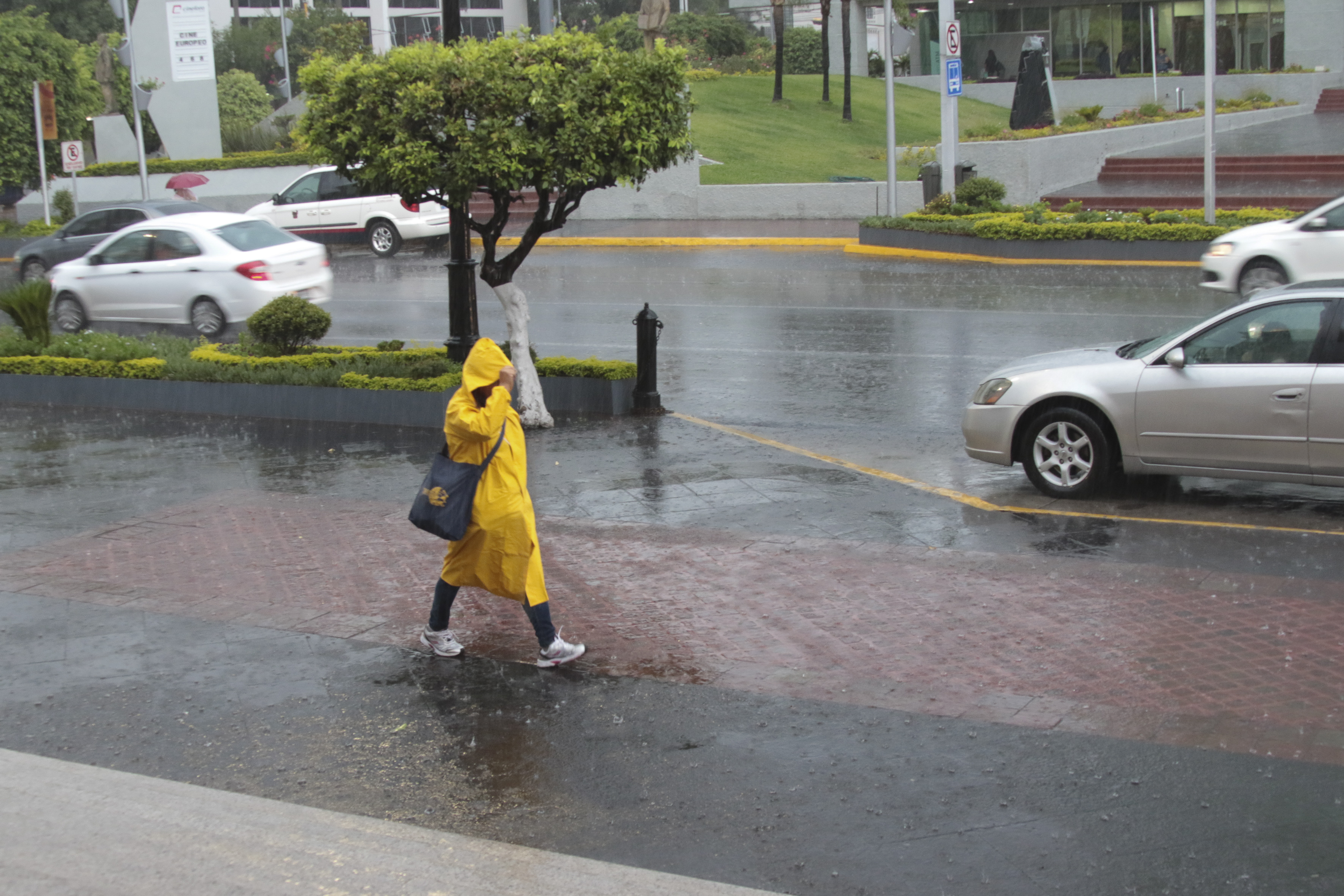 Estiman lluvias ligeras y días templados durante primeros días de enero