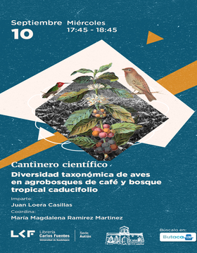 Cartel del Cantinero científico: Diversidad taxonómica de aves en agrobosques de café y bosque tropical caducifolio