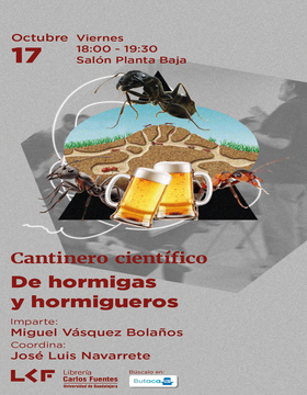Cartel de Cantinero científico: De hormigas y hormigueros