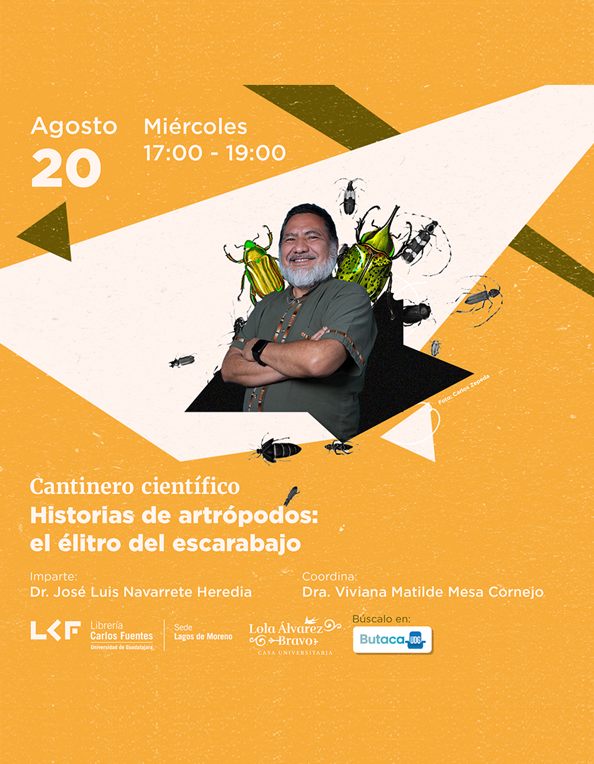 Cartel del Cantinero Científico. Título Historias de artrópodos: el élitro del escarabajo
