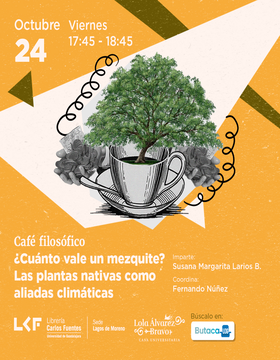 Cartel del Café filosófico: ¿Cuánto vale un mezquite? Las plantas nativas como aliadas climáticas