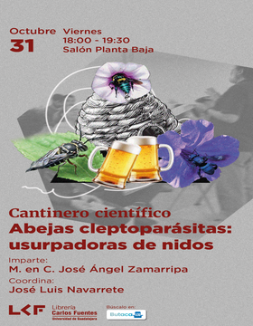 Cartel del Cantinero científico: Abejas cleptoparásitas: usurpadoras de nidos