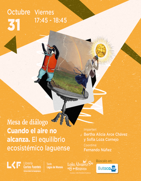 Cartel de la Mesa de diálogo: Cuando el aire no alcanza. El equilibrio ecosistémico laguense 