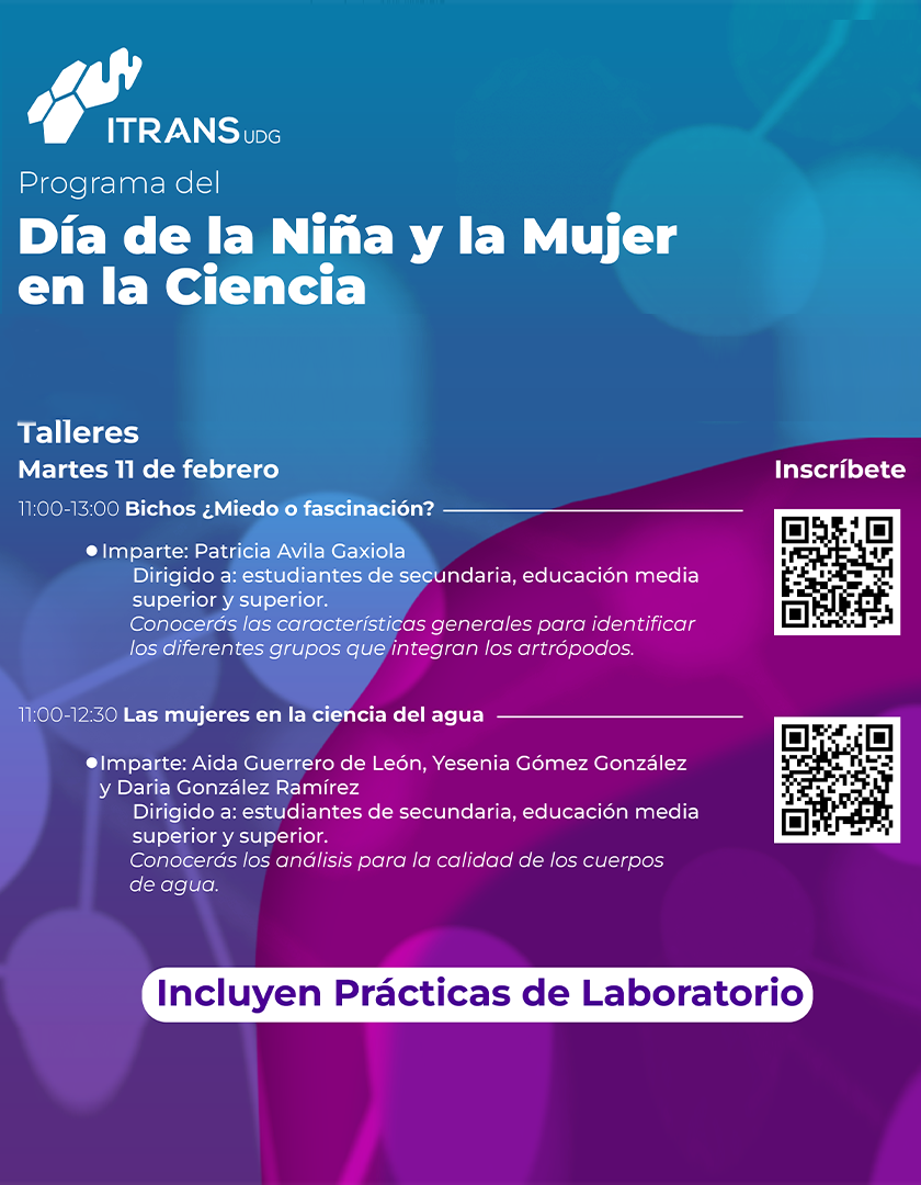 Cartel de los Talleres para conmemorar el Día Internacional de la Mujer y la Niña en la Ciencia en el ITRANS