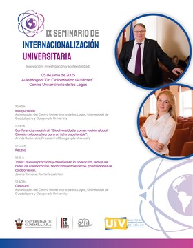 Cartel del IX Seminario de Internacionalización Universitaria