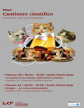 Cartel de Cantinero científico: Hongos … un reino sorprendente