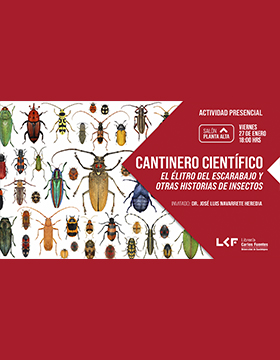 Cantinero científico.  Título: El élitro del escarabajo y otras historias de insectos.