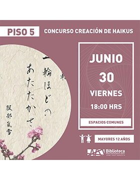 Grafico del Taller: Creación de Haikus