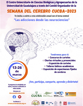 Semana del Cerebro CUCBA-2023