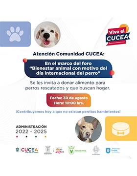 Foro: Bienestar animal con motivo del Día Internacional del Perro