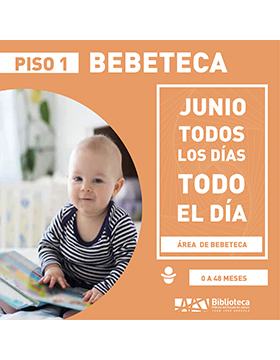 Grafico de la Bebeteca