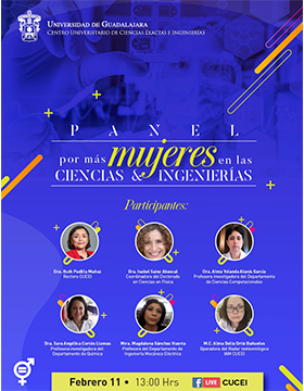 Panel: Por más mujeres en las ciencias e ingenierías