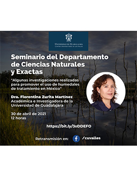 Conferencia: Algunas investigaciones realizadas para promover el uso de humedales de tratamiento en México