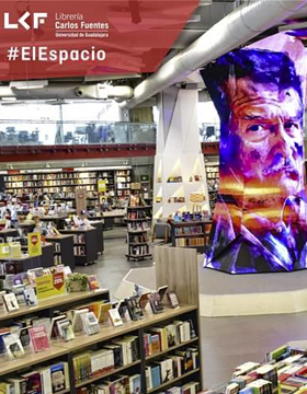 Performance artístico. Título: Jardín urbano. Paisaje desde el cristal