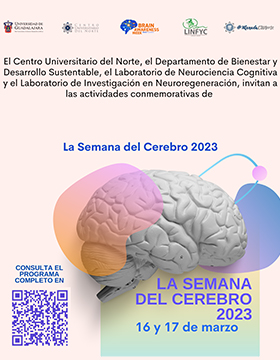 Semana del Cerebro 2023