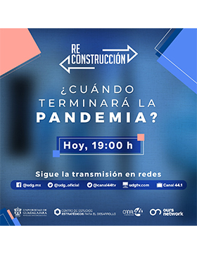 Webinar: ¿Cuándo terminará la pandemia?