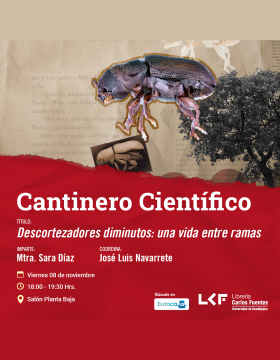 Cartel del Cantinero científico. Título: Descortezadores diminutos: una vida entre ramas