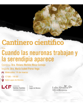 Cartel del Cantinero científico Título: Cuando las neurones trabajan y la serendipia aparece