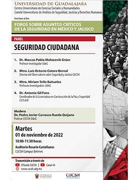 Panel: Seguridad ciudadana