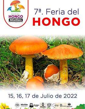 7ª Edición de la Feria del Hongo