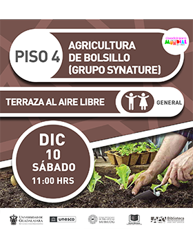 Agricultura de bolsillo por Grupo Synature.
