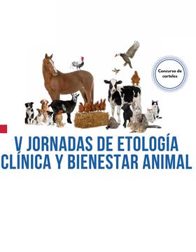 Identidad gráfica para anunciar las Jornadas de Etología Clínica y Bienestar Animal