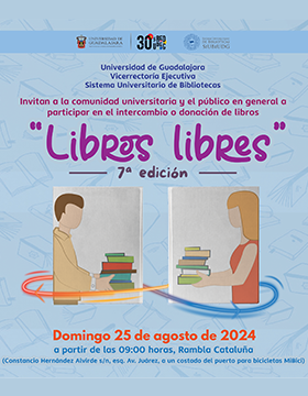 Cartel de la 7a edición "Libros libres" 