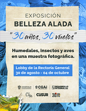 Cartel de la Exposición: Belleza alada "30 años, 30 vuelos"