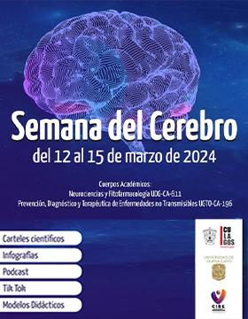 Cartel de la Semana del Cerebro 2024 en CULagos