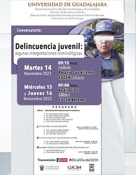 Cartel del Conversatorio: Delincuencia juvenil: algunas interpretaciones criminológicas
