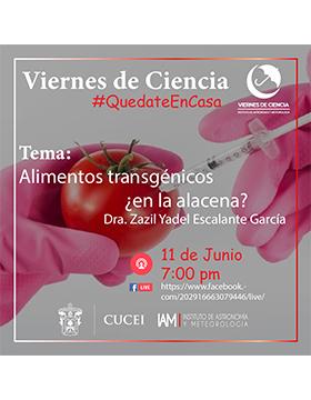 Conferencia: Alimentos transgénicos ¿en la alacena?