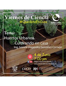 Conferencia: Huertos Urbanos. Cultivando en casa