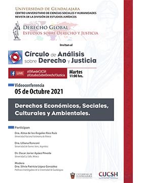 Videoconferencia: Derechos Económicos, Sociales, Culturales y Ambientales