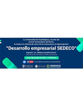 Conferencia: Desarrollo empresarial SEDECO