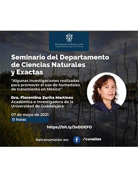 Conferencia: Algunas investigaciones realizadas para promover el uso de humedales de tratamiento en México