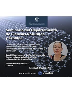 Conferencia: Adsorción de metales pesados con compuestos nanoestructurados sintetizados con nanotubos de carbono y porfirinas