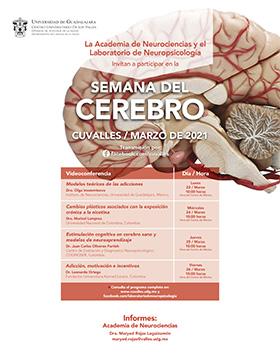 Semana del Cerebro en CUValles