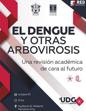 Cartel para anunciar el Seminario El dengue y otras arbovirosis