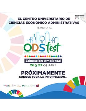 Grafico del ODS Fest "Educación ambiental"