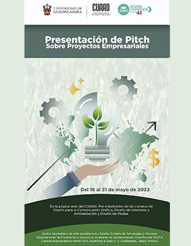 Presentación de Pitch sobre proyectos empresariales