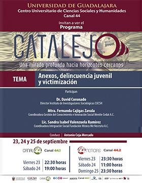 Programa Catalejo: Anexos, delincuencia juvenil y victimización