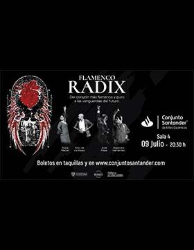 RADIX, la potencia y elegancia del flamenco en Conjunto Santander