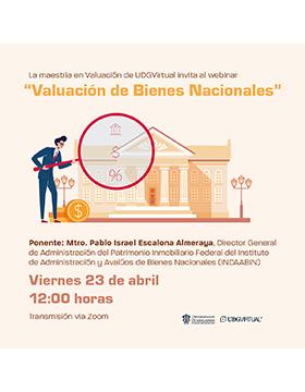 Webinar: "Valuación de bienes nacionales"