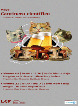 Cartel de Cantinero científico: Hongos … un reino sorprendente