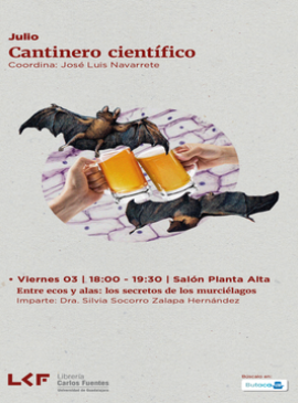 Cartel de Cantinero científico: Entre ecos y alas: los secretos de los murciélagos