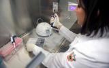 Investigadores del CUCS estudian predisposición genética en cáncer de mama 